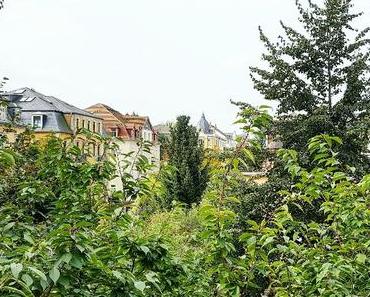 Erinnerungsstücke: Ausflug nach Dresden in 20 Bildern