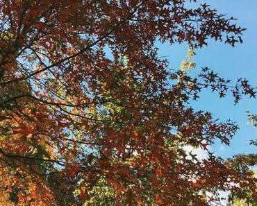 Sonntagsmusik: Adam Kvasnica – Jazz For Lazy Sunday