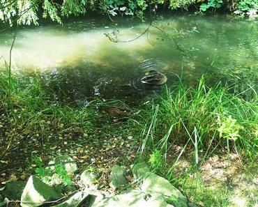 Mamis Bucket List - Blogparade