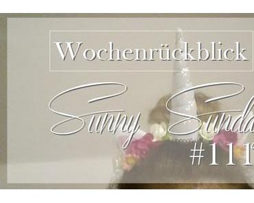 Wochenrückblick #111