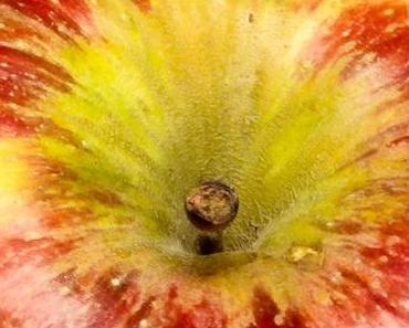 Tag des Apfels in Großbritannien – der britische Apple Day