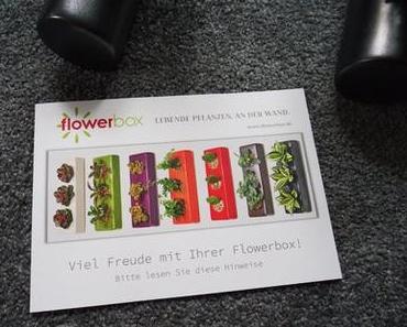 Ich habe die “ Flowerbox “ getestet