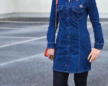 Outfit: Mango Denim Dress, Brooches and Rebecca Minkoff