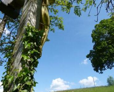 Spruch zum Wochenende: Abschied