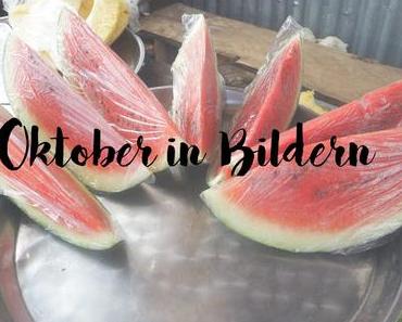 Oktober in Bildern - 31.10.