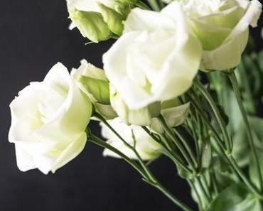 Flowers | Genauso weiß wie der Schnee: weiße Japanrosen