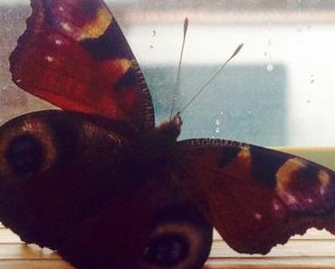 Sonntagsfreude: Gemeinsam