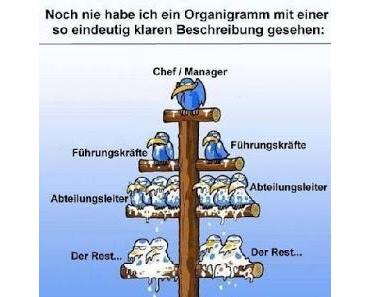 Vom Wesen der staatlich organisierten Kriminalität