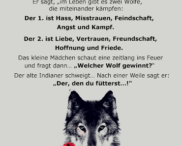 Philosophische Betrachtung einer allzu pfäffischen Parabel...