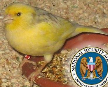 Sicherer Email-Provider RiseUp im Griff der NSA?