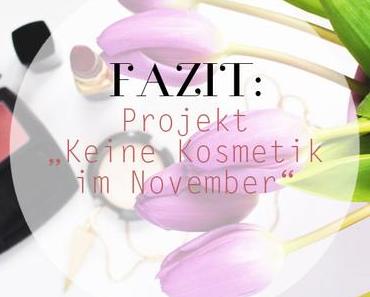 Projekt Minimalismus: keine Kosmetik im November - FAZIT