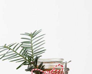 Spekulatius-Creme oder Weihnachten zum Löffeln – spekulatius cream