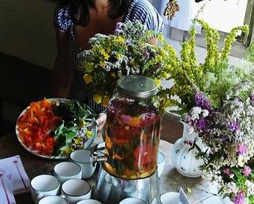 Kochen mit Wildkräutern&amp;essbaren Blüten - Mein neues Kursangebot 2017