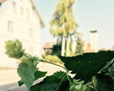 Mittlerweile [*.txt]