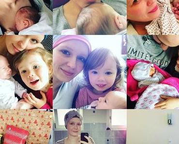 2016 – ein klitzekleiner Rückblick