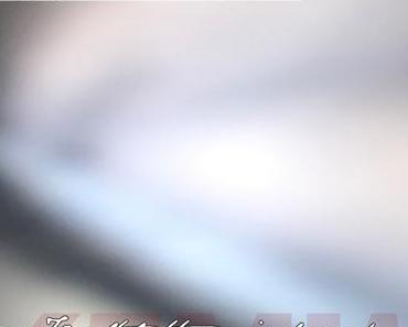 Mix: Progolog – Weil der Wind uns tragen wird