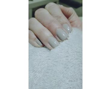 Willkommen 2017 / Time for Taupe