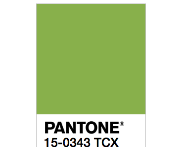 # 13 Das ist die offizielle Trendfarbe 2017