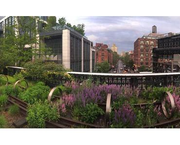 Mein Lieblingsplatz in New York – Der High Line Park