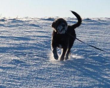 Hoffnungsschimmer [*.txt]