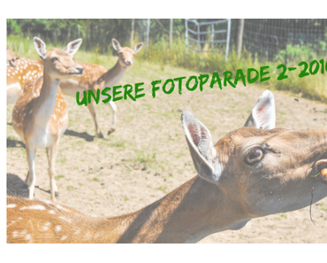 Unsere Fotoparade 2. Habjahr 2016