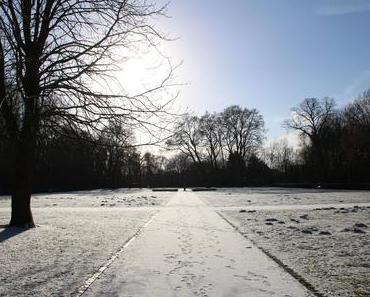 What’s Left 2017 | Eine Kategorie wird zum Newsletter