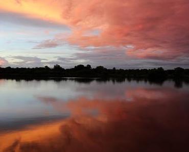 Namibia - Okavango River