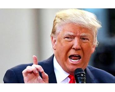 Trump & Co. bringen gute Zeiten für Polit-Blogger