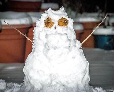 Welttag des Schneemanns – der internationale World Day of Snowman