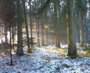 Sonntagsfreude: Magisch