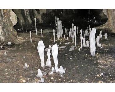 Bild der Woche: Hohlensteinhöhle Eiszapfen