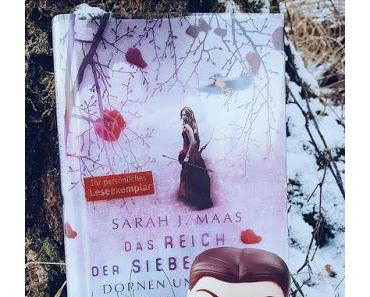 Romantisch und märchenhaft >>Das Reich der sieben Höfe – Dornen und Rosen<< Sarah J. Maas
