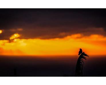 wallpaper-1689754