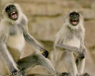 Wolverine-Star Hugh Jackman gibt vollen Einsatz beim Synchronsprechen