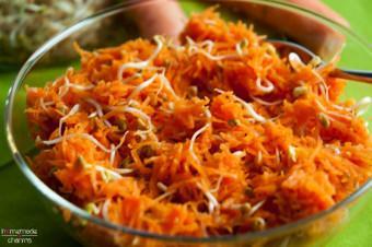 Karotten-Sprossen-Salat