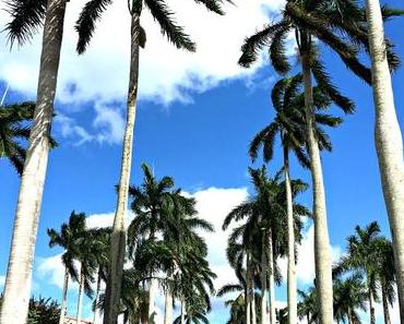 Urlaub im Märchenland