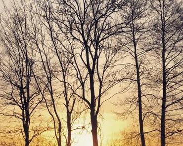 What’s Left | KW10&amp;KW11/2017