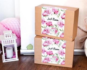 BOXSTORIES Launch Event in München