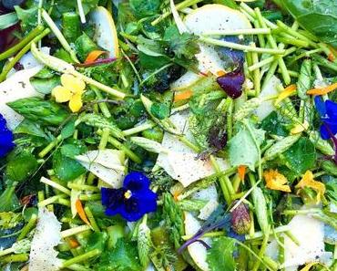 Salat mit wildem Spargel aus den Hautes Corbières