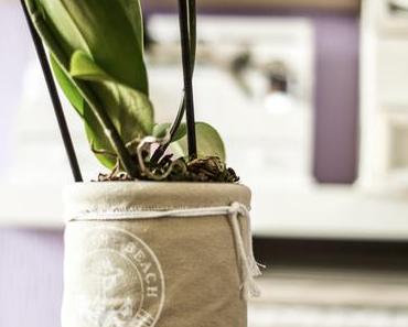 Herausragend soll es sein, herausragend!