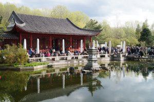 Was ist mit dem Berliner Kirschblütenfest los?