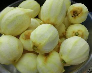 Zitronensaft konservieren