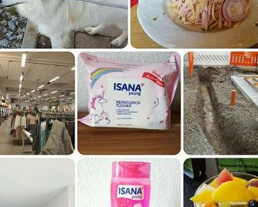 Wochenrückblick KW 17