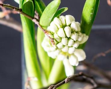 Ein Traum in Weiß und Grün