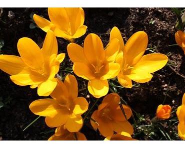 Eile mit Weile - Bleib gelassen!