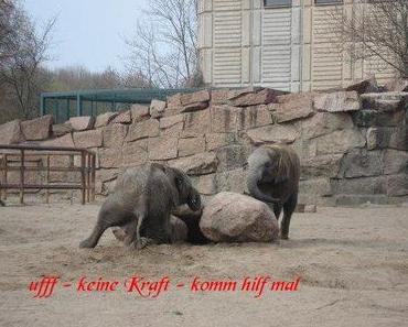 2 Jugendliche im Tierpark Berlin