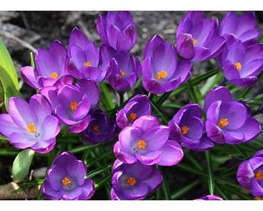 Das Wunder - Du würdest viele davon erleben, wenn Du glauben würdest wie ein Kind