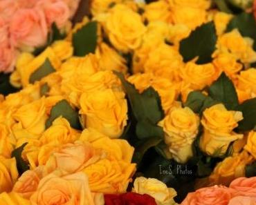 Keep Calm and lure Spring-Zitronengelb