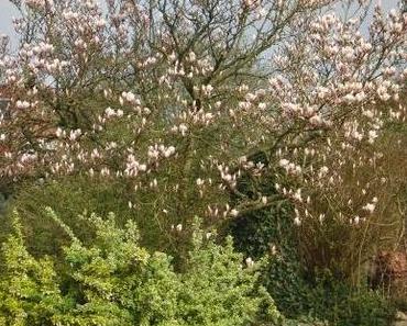 Sonntagslust und  Sonntagsfrust