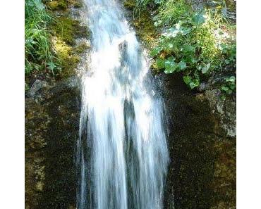 Stell Dir vor, Du wärest eine Oase...